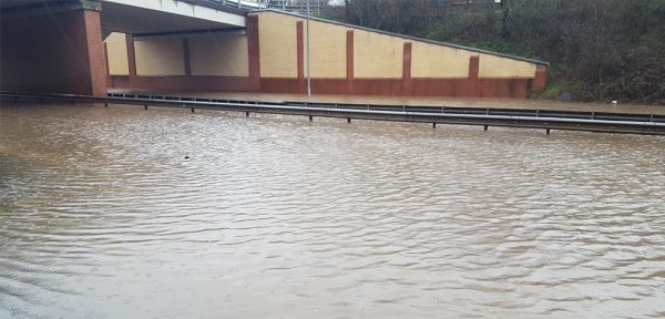 Praise Floods in for Totally Local A555 Teams