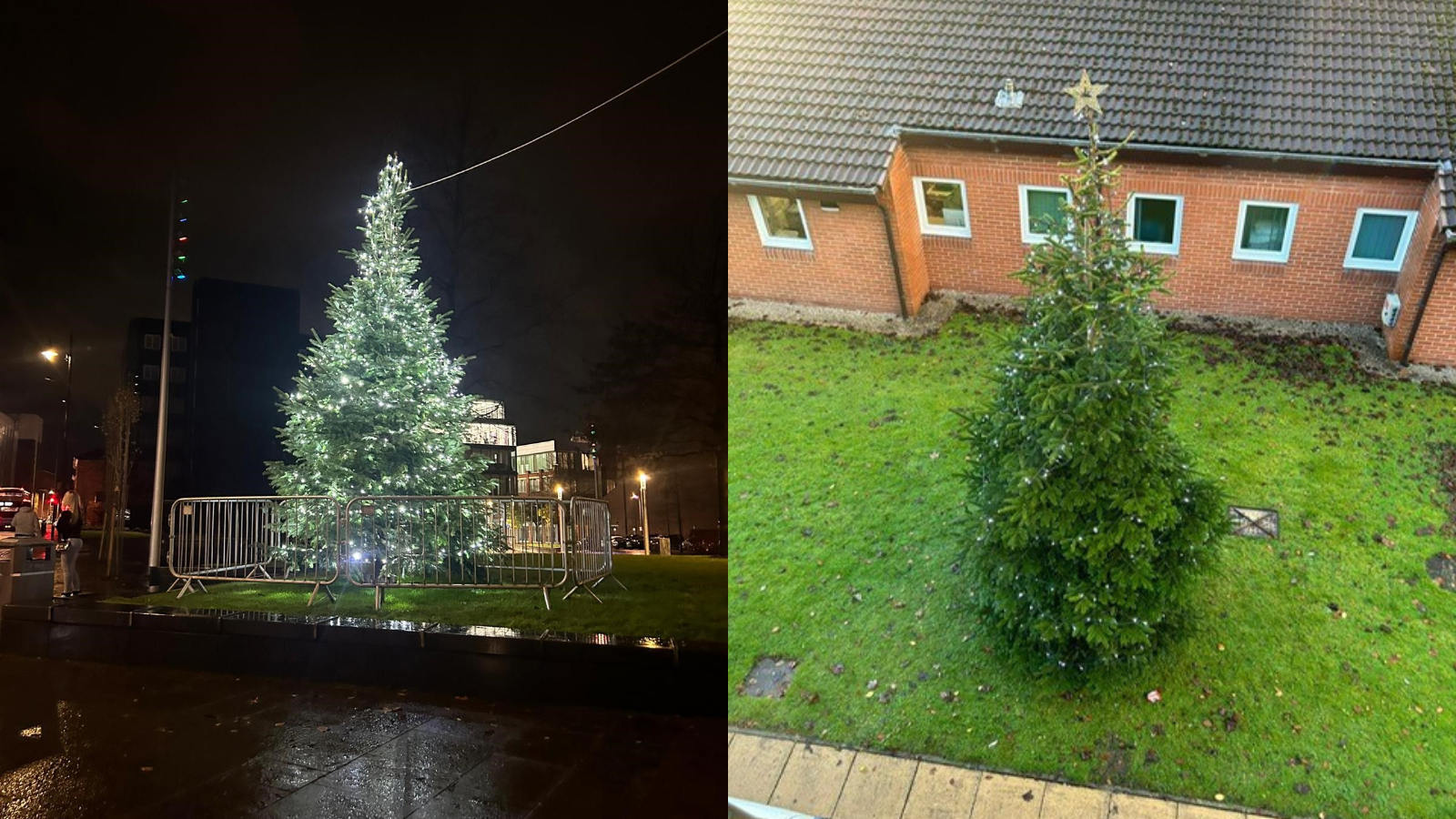 Christmas Tree Installations and Festive Lighting